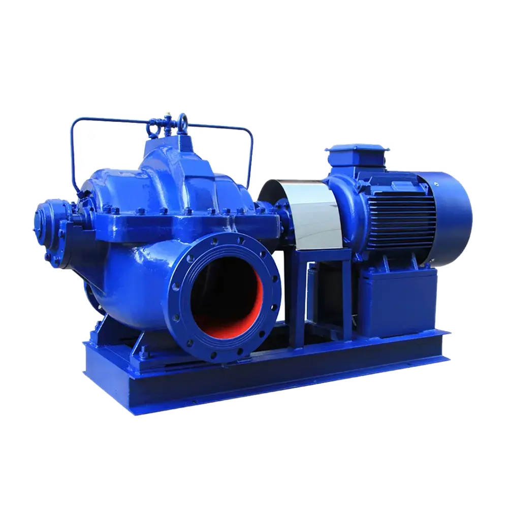 double-suction-pump